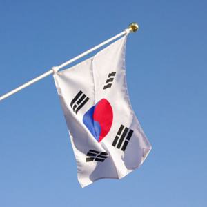 회전깃대  태극기 세트(국기+깃대+깃대꽂이+국기케이스)