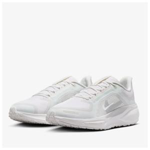 나이키 ZOOM PEGASUS 41 GTX FQ1356-101
