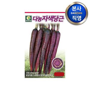 자색 당근 씨앗 200립 . 채소 보라색 자주색 안토시아닌 가을 파종 씨 종자