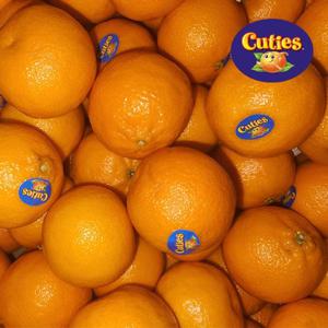 [팜쿡] 만다린귤 큐티스외 만다린 cuties 3kg 36-45과내외