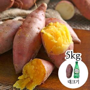 [감동 고구마]해남 세척 꿀고구마 5kg 대크기