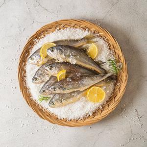 [자연맛남 굴비] 국내산 법성포 영광굴비 40마리 2두름 800gx2(총1.6kg)