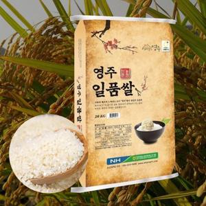 영주 일품쌀 백미20kg 상등급