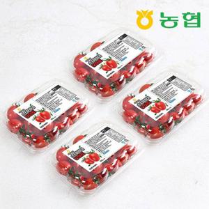 농협 부여 스테비아 대추 방울토마토 2kg (500gx4팩/1-3번)