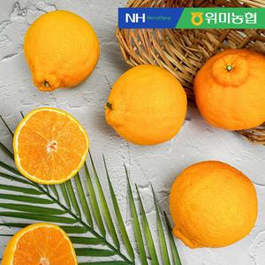[제주위미농협] 제주직송 한라봉 2.5kg (13-17입 내외)