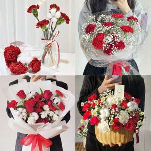 카네이션 생화 꽃다발 코사지 꽃바구니 어버이날 데일리꽃