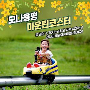 [평창] 모나용평 마운틴코스터이용권(~7/11)