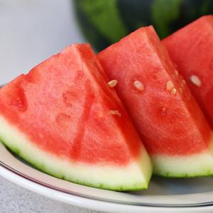 산지직송 고당도 논산 꿀수박 4~5kg
