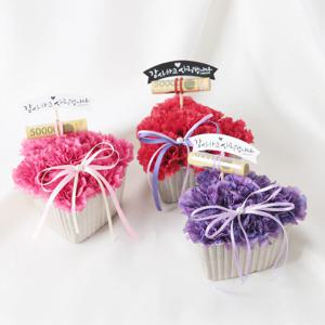 가정의달 사랑가득  하트 카네이션 화분 어버이날 용돈꽂이