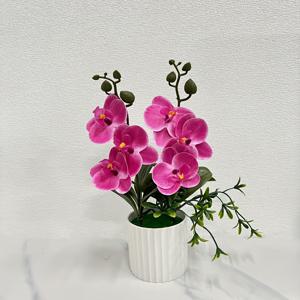TEMU 인공 난초 화분 | 팔라에노피스 장식용 화병 | 집과 사무실을 위한 내구성 있는 플라스틱 꽃 장식 | 책상, TV 캐비닛, 침대 옆 탁자, 공부방에 이상적 | 유지 관리 필요 없음, 인공 꽃