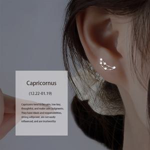 TEMU 약 0.49-0.72g 2개 925 순수 은색 세련되고 간단한 십이궁자리 합성 지르코니아 등반 스타일 여성용 귀걸이, 파티 및 베스트 프렌드 선물용으로 적합