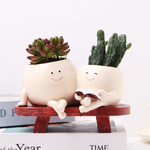 TEMU 방 장식 웃는 얼굴 레진 식물 그늘에 스윙이 달린 그늘, 수кул 및 카투스에 적합한 창의적인 행복한 식물 그늘, 야외 정원 마당 장식 꽃 그늘