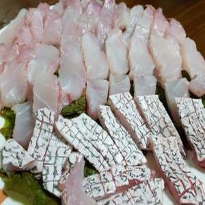 완도 자연산 민어회 4-7kg 껍질 민어부레 숙성회 보양 지리탕
