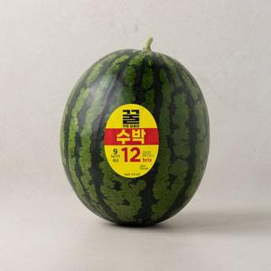 꿀처럼 달콤한 수박 8~9kg미만