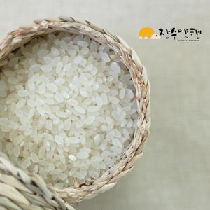 경기포천쌀 경기미5kg 2023년
