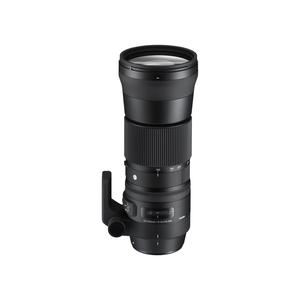 SIGMA C 150-600mm F5-6.3 DG OS HSM 캐논용 / 2day