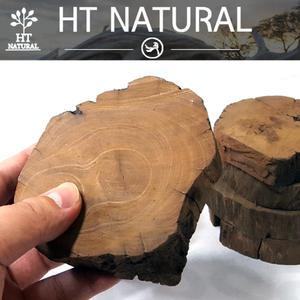 세틀 절단유목 S/M (H:15~30/Ø:70~100mm)/수족관 어항 수조 장식품 꾸미기 모스 활착 구피 거북 컷팅 유목