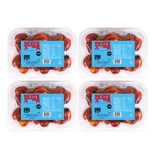 왓더프룻 투맛토 스테비아 방울토마토 자몽향 (500g x 4팩)
