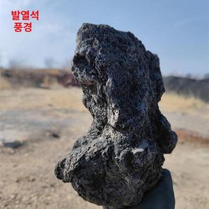 비포쉬프팅 용암석 현무암 화산석 은신처 수족관 장식 조경석