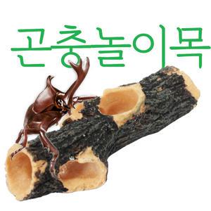 아마존 곤충놀이목/반영구사용가능/사슴벌레/곤충젤리접시/장수풍뎅이