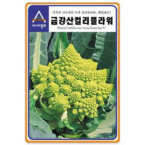 콜리플라워 씨앗 100립 그린 컬리플라워 씨앗 씨 종자