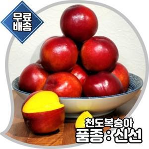 경산농협 천도복숭아 2Kg 상자