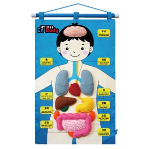 나의몸속 장기 명칭 인지 벽걸이 헝겊차트판 펠트교구