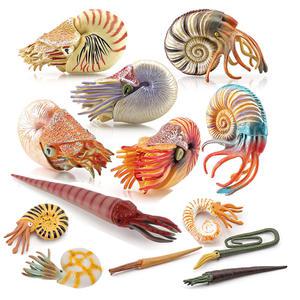 해양 장난감 동물 노틸러스 그림 Cameroceras 암모나이트 Sealife 인형 액션 피규어 플라스틱 선물