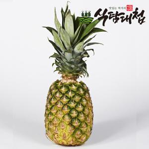 식탐대첩 필리핀 파인애플 4개 (개당1.2kg내외)