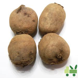 비트 10Kg (상)