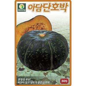 다농 아담단호박 씨앗 30립 조생종 단호박씨 종자