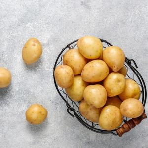 국내산 포슬포슬 고소한 햇감자 중 10kg
