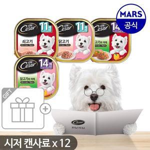 [시저] 11세/14세이상 100g 12개 /강아지사료