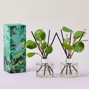 코코도르 포레스트 디퓨저 120ml X 2개