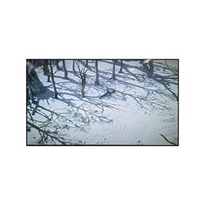 LG전자 OLED65B5FNA 올레드 163cm 스탠드 일렉