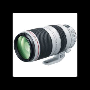 캐논 EF 100-400mm F4.5-5.6L IS II USM / 2day