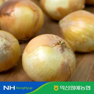 [익산원예농협] 국산 25년 햇 양파 중대사이즈 5kg 10kg