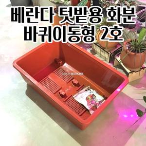 상추고추 작물재배용 바퀴 플라스틱 화분 2호 59X39CM 귀여운화분 채소재배 심플한화분 엔틱화분