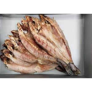 국내 제작 군산 반건조 민어 마리당 300g내외 300g, 10개