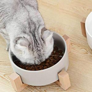 [XBKJ3N86_48]애견식기 강아지물통 강아지식기 강아지밥그릇