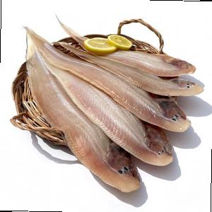 군산 반건조 박대 4미 왕특대