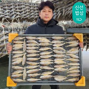 [품질보장] 영광 법성포 가정용 참조기 1.3kg내외 (20미) 실속형 봉지 굴비