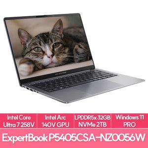 ASUS ExpertBook P5 P5405CSA-NZ0064X 인텔 루나레이크 울트라7 램32G NVMe2TB교체 전문가용 노트북 추천 EU