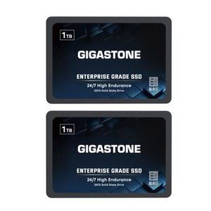 기가스톤 엔터프라이즈 SSD 1TB NAS 드라이브 캐시(2팩) 24 /7 내구성이 뛰어난 TLC 고내구성 비즈니스 서버 데이터 센터 RAID 네트워크 연결 스토리지 2.5인치 SATA 내부 솔리드 스테이트 하드