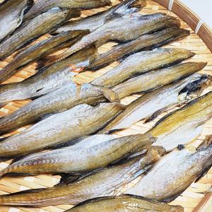 반건 조미 노가리 중자 1kg 아이스박스 /두절 마른 안주 명태 대구 앵치 반건조
