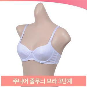 주니어 줄무늬 브라 3단계 B컵 와이어 청소년브래지어