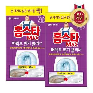 홈스타 맥스 퍼펙트 변기 클리너 x 2개