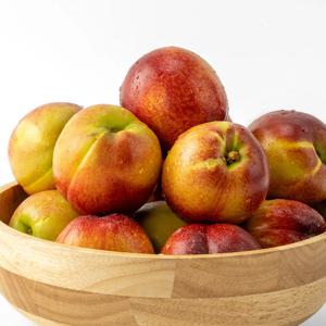 달콤한 경북 천도복숭아 1kg 중과(13과내외)