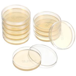 10 Pcs 영양소 한천 플레이트 Prepoured Petri Dish 한천 플레이트 조직 배양 플레이트 과학 실험 용품 실험실 용품
