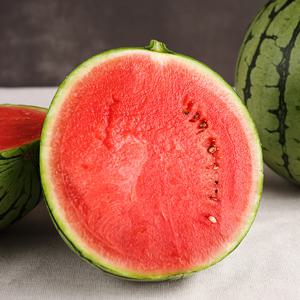 [작심밀도]자연맑음 미니 애플수박 2~3입 (중과) / 총중량 1.8kg 이상